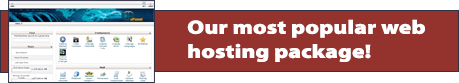 Managed Web Hosting